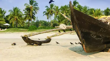 Traditional fishing boat on the Goa beach and palm trees in India