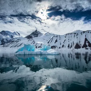 Arctic spring in south Spitsbergen