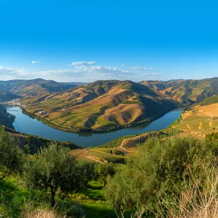 Green grass hills and valley with the Douro River near the village of Pinhao, Portugal