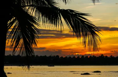Sunset over the lovely Passikudah beach with silhouette of palm tree in Sri Lanka 