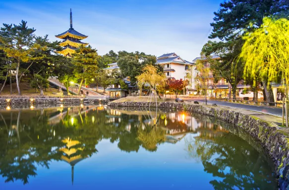 Sarusawa Pond surrounded by trees and walking pathways, steeples of temples can be seen above the tree line