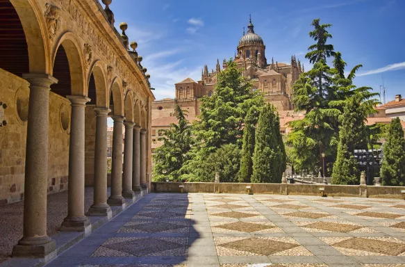 The cathedral of Salamanca and courtyard with fir trees in Salamanca, Spain