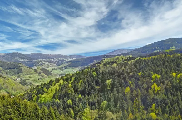 Aerial view of the black forest mountain range