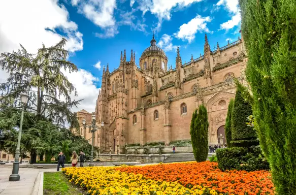 Colourful flowers in front of the Cathedral of Salamanca in Spain