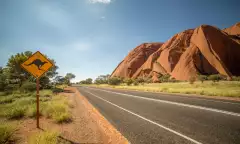 Kangaroo warning sign in the outback, Australia