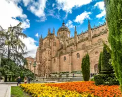 Colourful flowers in front of the Cathedral of Salamanca in Spain