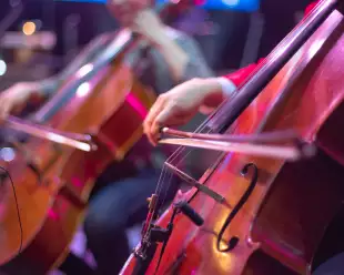 Close-up of a cello at a concert