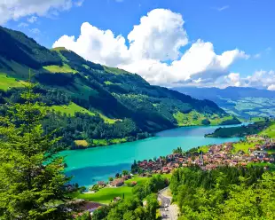 A scenic view or Swiss countryside as seen from a passing train