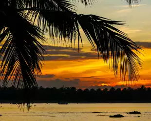 Sunset over the lovely Passikudah beach with silhouette of palm tree in Sri Lanka 