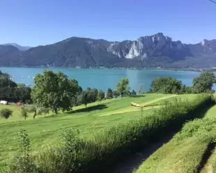 Beautiful scenery along the Danube River with lush landscape and mountains 