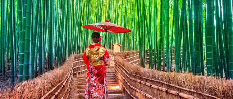 Bamboo Forest. Asian woman wearing japanese traditional kimono at Bamboo Forest in Kyoto, Japan.