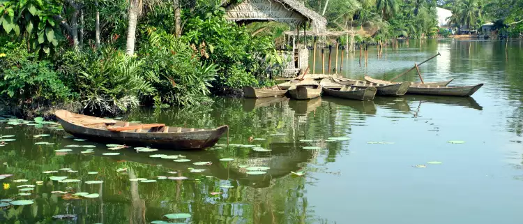 Small wooden boats on the Lotus Lake with lily pads in Mekong