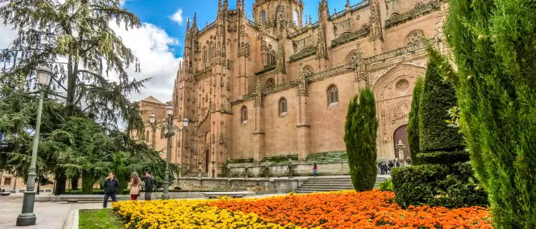 Colourful flowers in front of the Cathedral of Salamanca in Spain