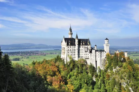Aerial of Neuschwanstein castle surrounded by vegetation in Bavaria, Germany