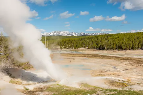 Steamboat Geyser at Yellowstone National Park in Wyoming, USA
