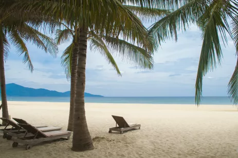 Sunbeds and palm trees at the My Khe beach in Danang, Vietnam